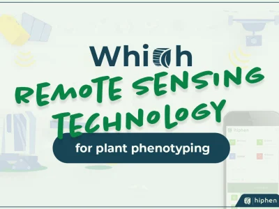 Which Remote Sensing Technology Is Used for Plant Phenotyping ?
