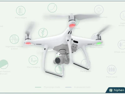 Which Plant Phenotyping Traits Can We Compute Using UAV (Drone) ?