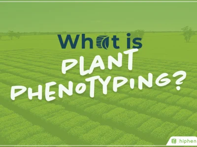 What Is Plant Phenotyping?