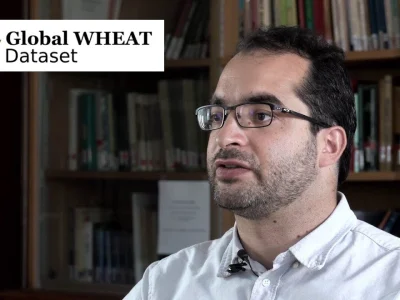 Global Wheat Challenge – Episode 1