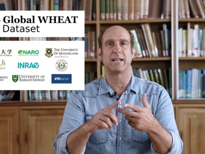 Global Wheat Challenge – Episode 2