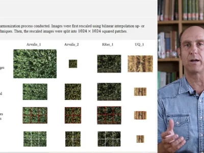 Global Wheat Challenge – Episode 3