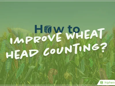 How to Improve Wheat Head Counting?