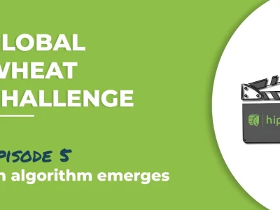 Global Wheat Challenge – Episode 5