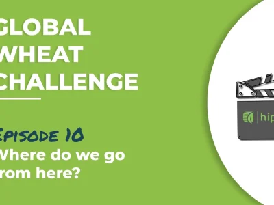 Global Wheat Challenge – Episode 10