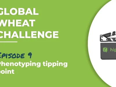 Global Wheat Challenge – Episode 9