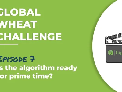 Global Wheat Challenge – Episode 7