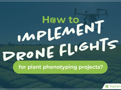 How to Implement Drone Flights for Plant Phenotyping Projects?