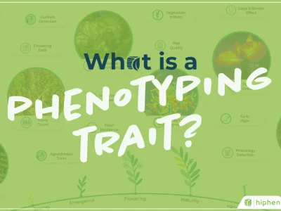 What Is a Phenotyping Trait?