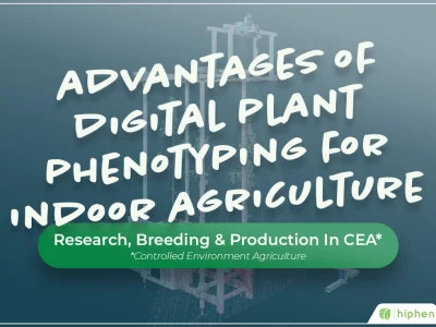 Advantages of Digital Phenotyping for Controlled Conditions Agriculture