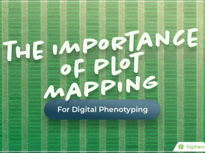 The Importance of Plot Mapping for Digital Phenotyping