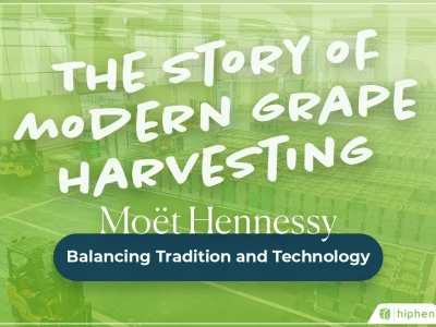 The Story of Modern Grape Harvesting: Balancing Tradition and Technology