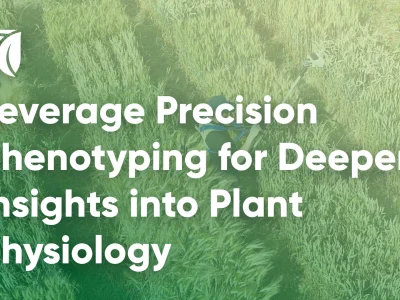 Leverage Precision Phenotyping for Deeper Insights into Plant Physiology