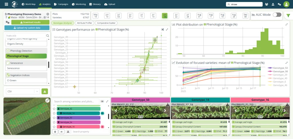 Variety Performance Comparison in Field Plot Trials