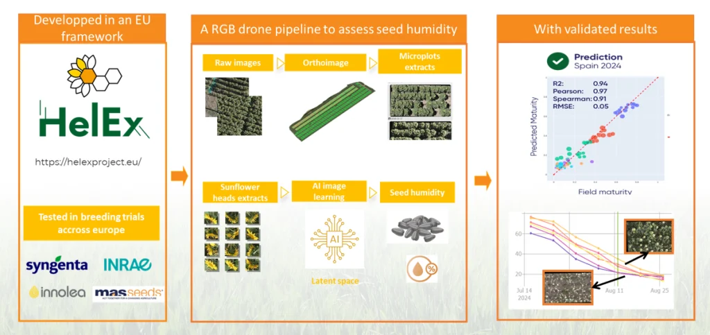 Predict Breeding Values for Key Traits from Drone Imagery