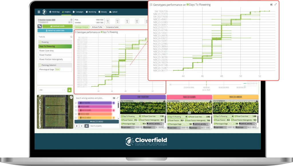 Speed to Flowering Assessment for Better Yield Estimation
