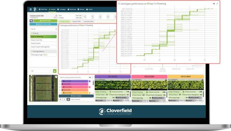 Speed to Flowering Assessment for Better Yield Estimation