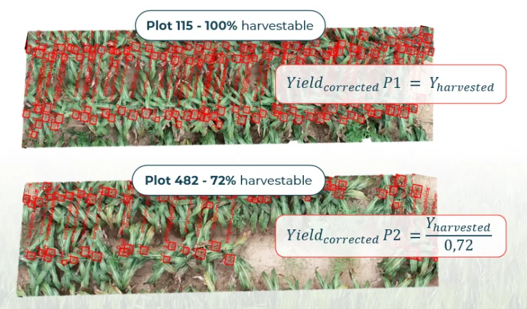 Digital Traits to Correct End-of-Season Yield with Plot-truth Evidence