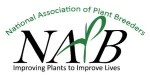 NAPB 2027
