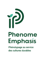 Phenome-Emphasis