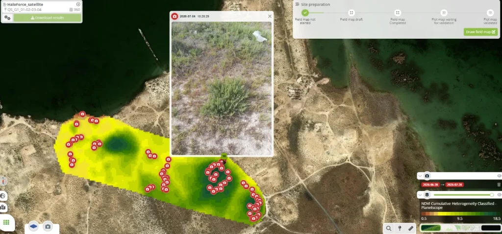 Geolocated Field Scouting to Guide Satellite and Drone Phenotyping