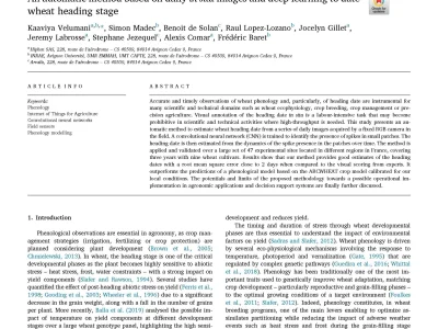An automatic method based on daily in situ images and deep learning to date wheat heading stage