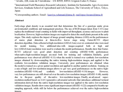 Estimates of maize plant density from UAV RGB images using Faster-RCNN detection model: impact of the spatial resolution