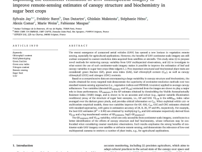 Exploiting the centimeter resolution of UAV multispectral imagery to improve remote-sensing estimates of canopy structure and biochemistry in sugar beet crops